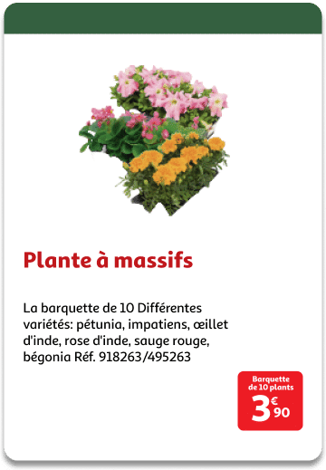 7-Plante-a-massifs.png