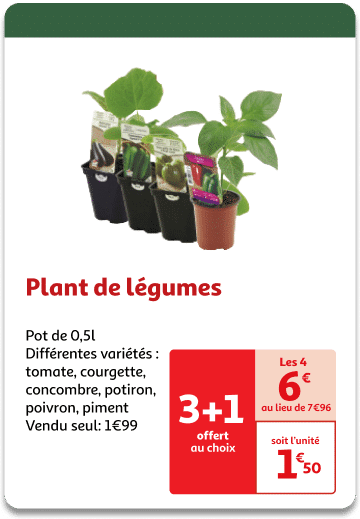 9-Plant-de-legumes-1.png